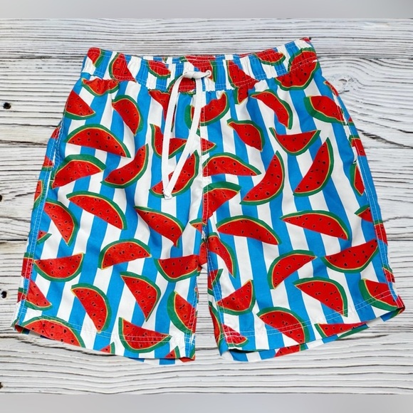 Hanna Andersson Watermelon Print Men’s Swim Trunks Size M - Picture 1 of 4
